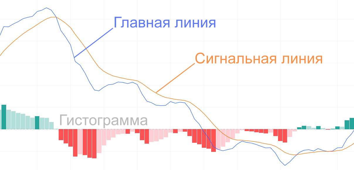 Как выглядит macdi